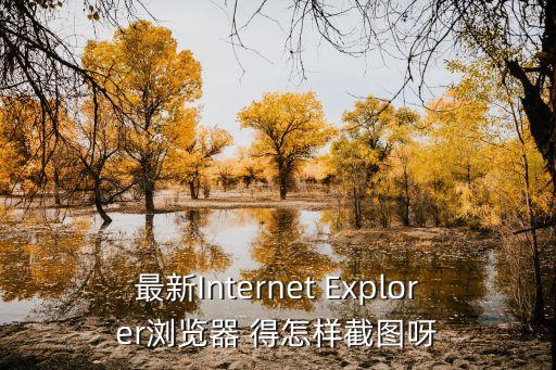 最新Internet Explorer瀏覽器 得怎樣截圖呀