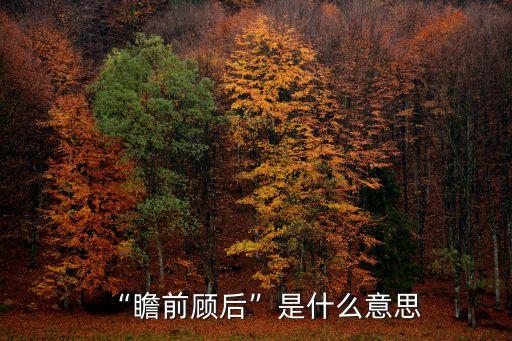 瞻什么顧什么,瞻前顧后:先看前面再看后面謹慎細密