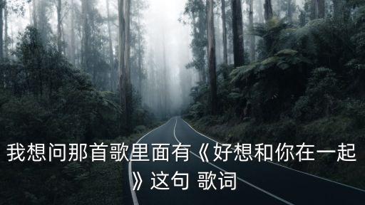 好想好想歌詞,我想和你在一起用我的生命保護(hù)你