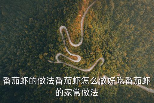 番茄蝦的做法番茄蝦怎么做好吃番茄蝦的家常做法
