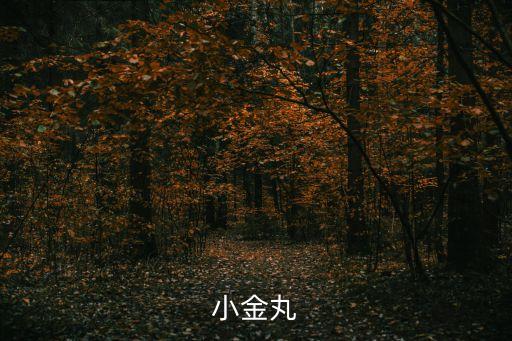 小金丸