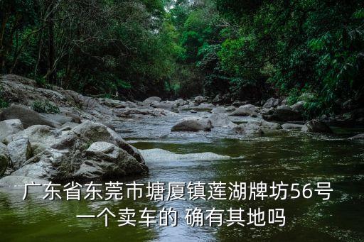 東莞市一博汽貿(mào)有限公司，廣東省東莞市塘廈鎮(zhèn)蓮湖牌坊56號(hào) 一個(gè)賣(mài)車(chē)的 確有其地嗎