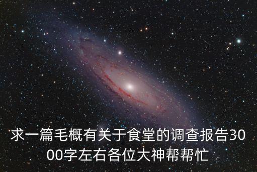 求一篇毛概有關于食堂的調查報告3000字左右各位大神幫幫忙