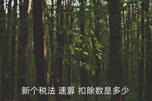 個人所得稅速算扣除數表