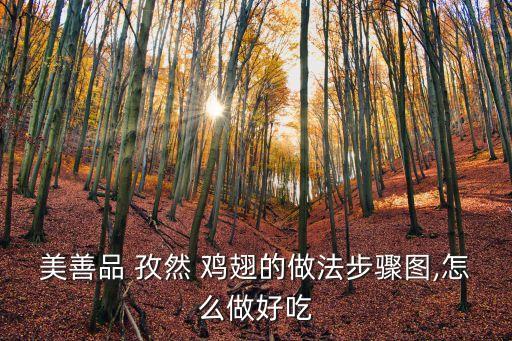 孜然雞翅,先洗一下雞翅然后再煎一遍