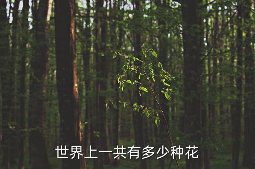 世界上一共有多少種花