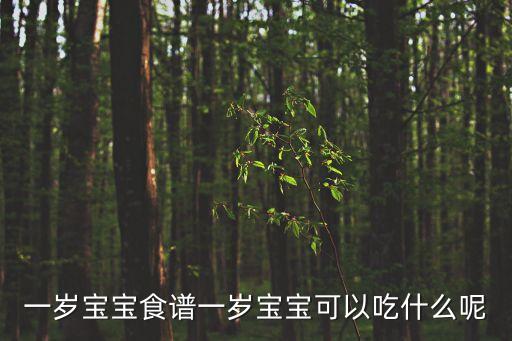 一歲寶寶食譜一歲寶寶可以吃什么呢