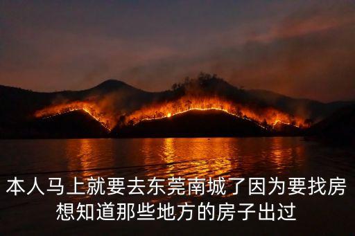 東莞辰嘉園，東莞莞城的信息網哪家的新房比較便宜點