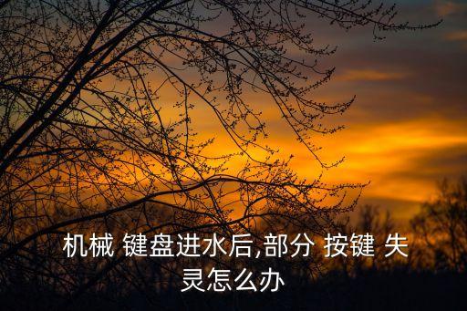  機械 鍵盤進水后,部分 按鍵 失靈怎么辦