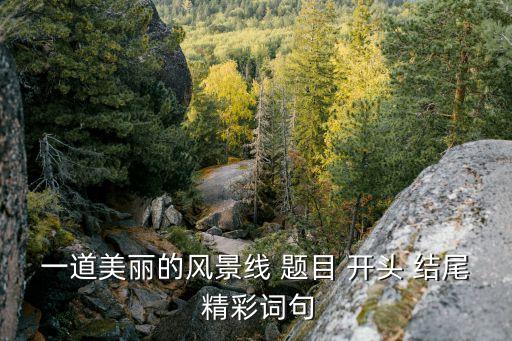 一道美麗的風景線，什么是一道美麗的風景線600字作文