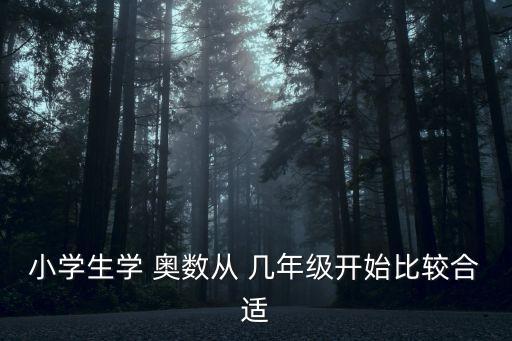 奧數(shù)幾年級開始學好,一年級孩子學奧數(shù)我覺得三年級最適合