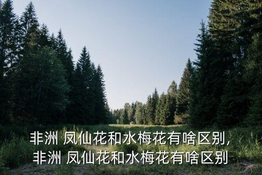 非洲 鳳仙花和水梅花有啥區(qū)別, 非洲 鳳仙花和水梅花有啥區(qū)別