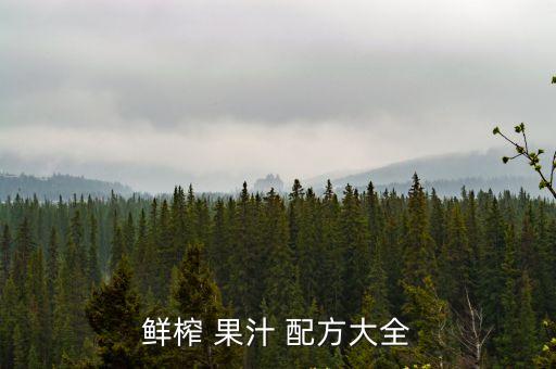 混合果汁配方大全,果汁的搭配有何玄?