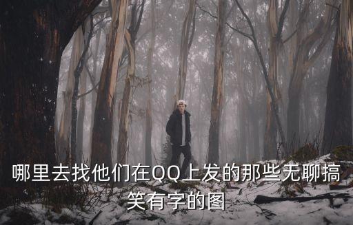 哪里去找他們在QQ上發(fā)的那些無聊搞笑有字的圖