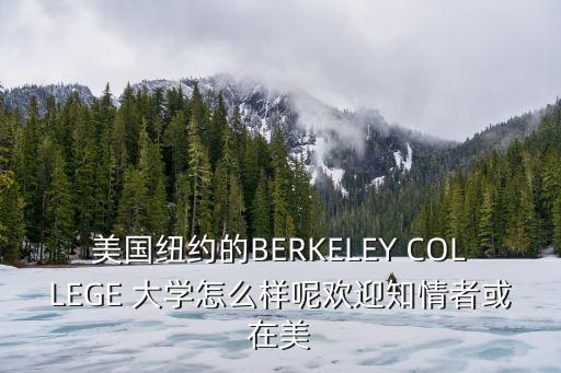 美國紐約的BERKELEY COLLEGE 大學怎么樣呢歡迎知情者或在美