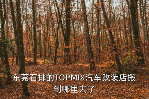 東莞石排的TOPMIX汽車改裝店搬到哪里去了