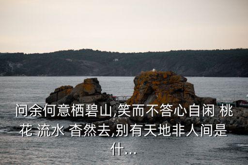 桃花流水杳然去,第二集:桃花流水□但是去!