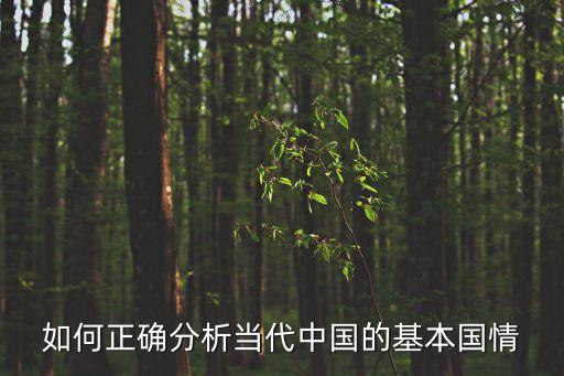 如何正確分析當代中國的基本國情