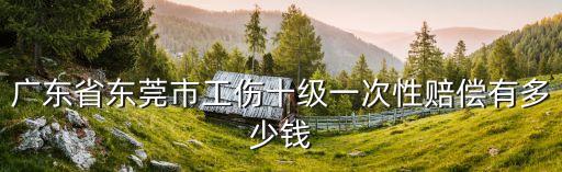 廣東省東莞市工傷十級一次性賠償有多少錢