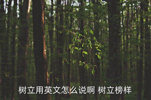 樹立用英文怎么說啊 樹立榜樣