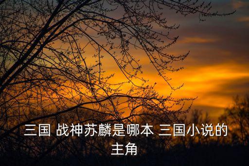  三國 戰神蘇麟是哪本 三國小說的主角