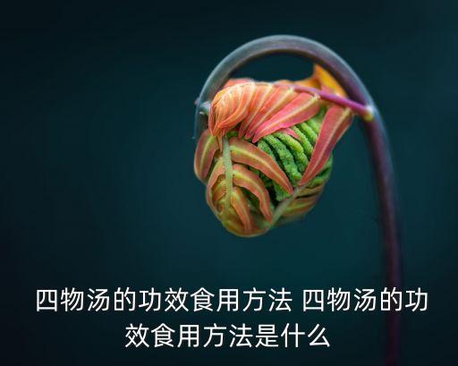 四物湯的功效與作用什么時候喝,四物湯知多少?問與答（13）
