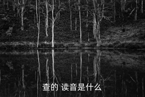 查的讀音,檢索詞包括訪問、詢問、檢查、搜查