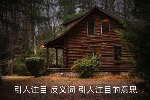  引人注目 反義詞 引人注目的意思