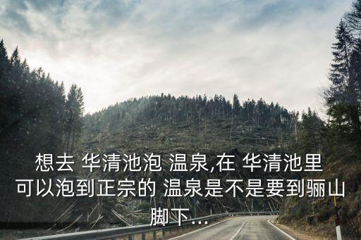 想去 華清池泡 溫泉,在 華清池里可以泡到正宗的 溫泉是不是要到驪山腳下...