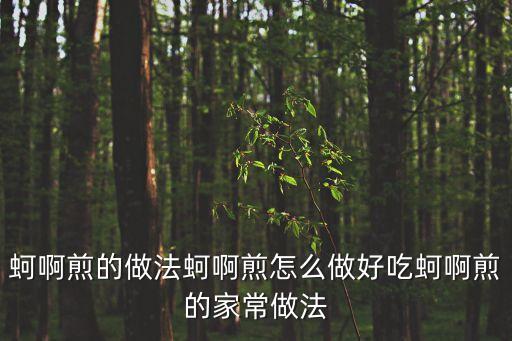 蚵仔煎的做法，蚵啊煎的做法蚵啊煎怎么做好吃蚵啊煎的家常做法