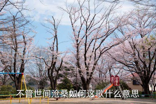 塵緣如夢,《八月花》主題曲塵緣"徐日琴演唱