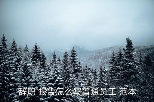 辭職報告范本,我考慮在一定時間內離職希望能與你分享心情