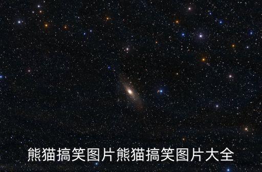 熊貓搞笑圖片熊貓搞笑圖片大全