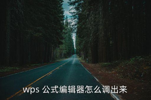 公式編譯器,wps公式editor怎么調整?