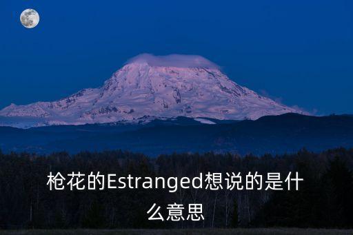 槍花的Estranged想說的是什么意思