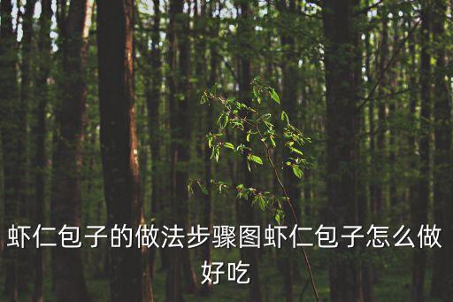 蝦仁包子，蝦仁包子的做法步驟圖蝦仁包子怎么做好吃