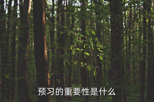 預習的重要性是什么