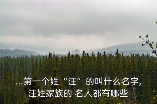 ...第一個姓“汪”的叫什么名字,汪姓家族的 名人都有哪些