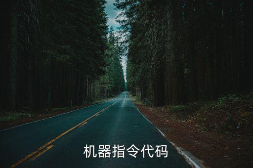 電腦代碼大全，求電腦藍屏代碼大全
