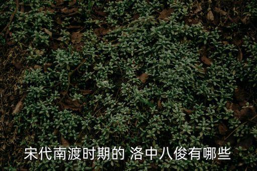 洛中,洛中八君"指北宋南宋之交活躍于洛中的八位文人