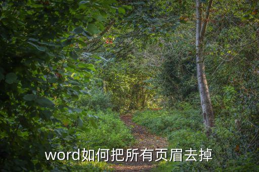word如何把所有頁眉去掉