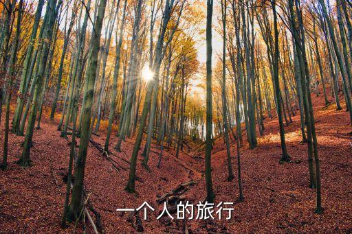一個人的旅行