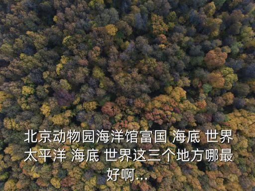 北京太平洋海底世界,太平洋海底世界位于中央廣播電視塔下