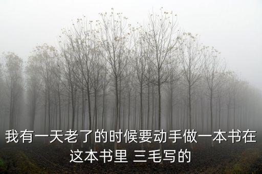 拾荒夢，我有一天老了的時候要動手做一本書在這本書里 三毛寫的