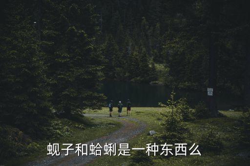 蜆子和蛤蜊是一種東西么