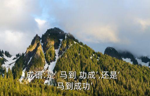 成語(yǔ):是‘ 馬到 功成’,還是‘ 馬到成功’