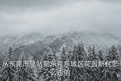 東莞到東陽花苑地鐵，從虎門去東陽的最快的線路要怎么走