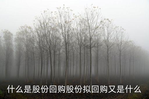什么是股份回購股份擬回購又是什么