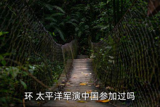 環太平洋演習,臺灣省某立委參觀珍珠港宙斯盾級巡洋艦