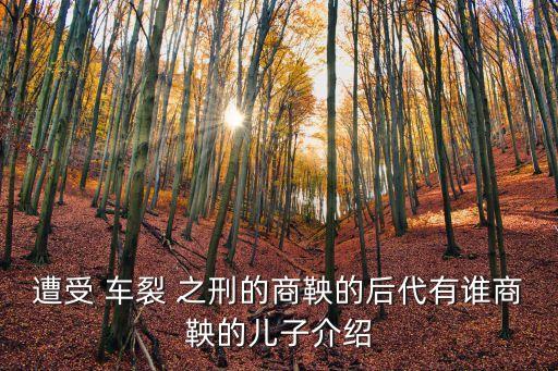 遭受 車裂 之刑的商鞅的后代有誰商鞅的兒子介紹